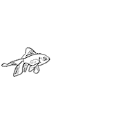 water shark Sticker by Colore_g