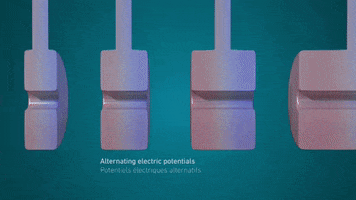 GIF by CERN