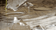 water melting GIF by Head Like an Orange