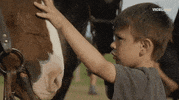 standing rock GIF by RISE