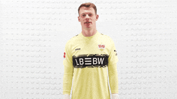 Vfb Stuttgart Football GIF by Bundesliga