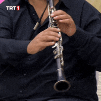 Tone Melodi GIF by TRT
