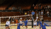 University Of Pittsburgh Ncaa GIF by Pitt Panthers