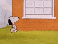 charlie brown GIF by Peanuts