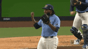 Major League Baseball Sport GIF by MLB