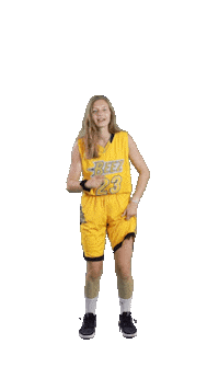 Basketball Click Sticker by ACSL - Austrian College Sports League