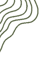 Wave Line Sticker by Arbor Drive