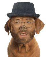Dog Radio Gaga Sticker by Movistar+