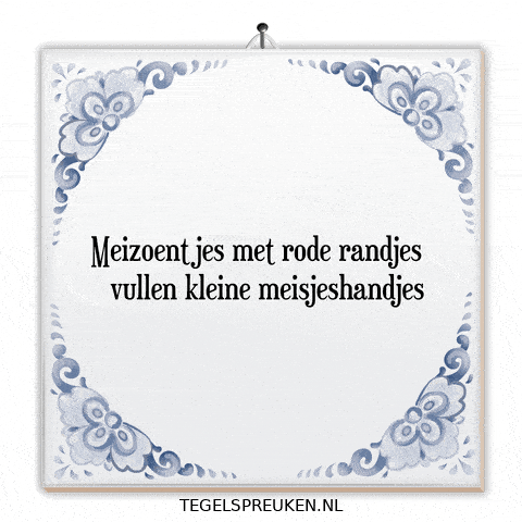 Humor Nl GIF by Tegelspreuken.nl