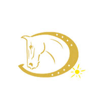 ridersdeal emoji deal rider pferd Sticker