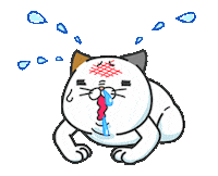 Sorry Cat Sticker