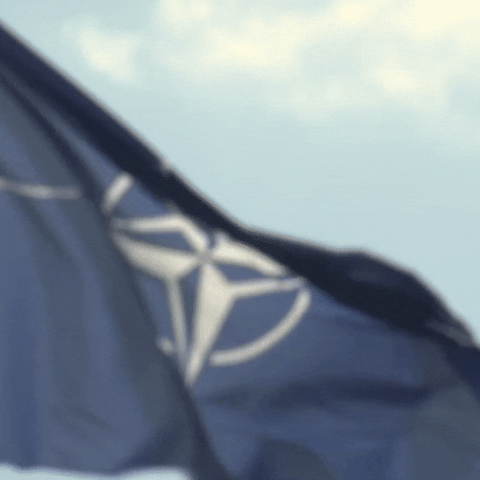 NATO nato otan wearenato GIF