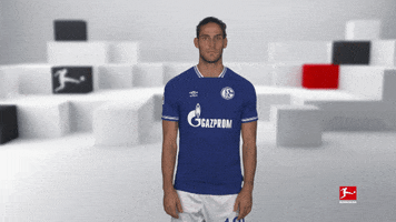 Posing Line Up GIF by Bundesliga