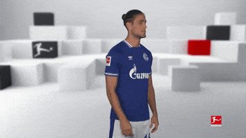 Posing Line Up GIF by Bundesliga