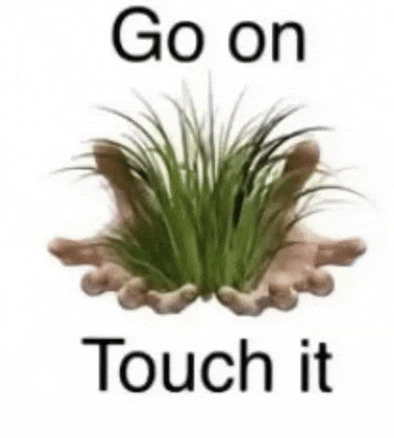 Touch It Go On GIF