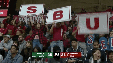college basketball GIF by America East