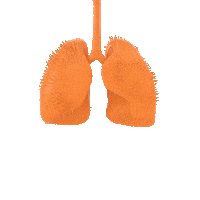 Real Estate Uk Sticker by Address Pollution