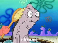 season 3 GIF by SpongeBob SquarePants