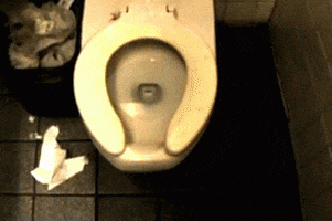 toilet tip GIF
