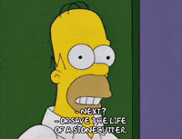 homer simpson GIF
