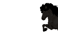 Easyflix pony pferd islander islandpferd Sticker