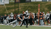 Stu GIF by STUMiami