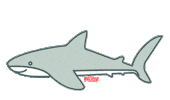 Sticker by Nuby USA