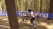 GIF by UCI