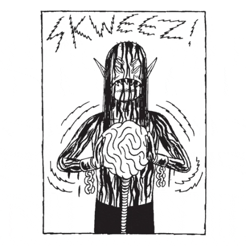 fantagraphics comics comix fantagraphics johnny ryan GIF