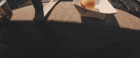 around the world and back GIF by State Champs