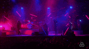 bonnaroo 2016 m83 GIF by Bonnaroo Music and Arts Festival