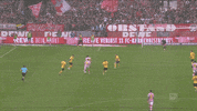 jonas hector soccer GIF by 1. FC Köln