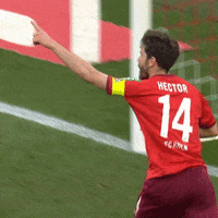 1 Fc Cologne Football GIF by 1. FC Köln