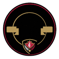 20Yearsofexcellence Sticker by TheHillAcademyKH