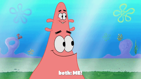 season 9 GIF by SpongeBob SquarePants