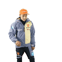 Nordic Combined Leave Sticker by Viessmann Sport