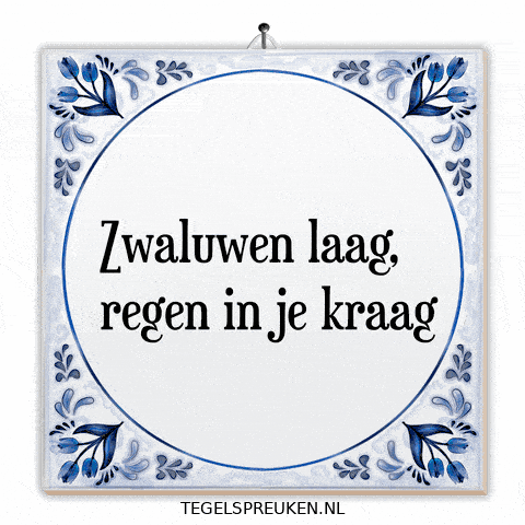 Humor Nl GIF by Tegelspreuken.nl