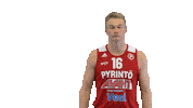 Basketball Hoops Sticker by Basket_fi