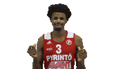 Basketball Hoops Sticker by Basket_fi