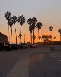 Beach Life GIF by NOSAM