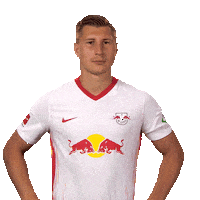 No Idea What Sticker by Bundesliga
