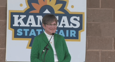 I See You Democrat GIF by GIPHY News