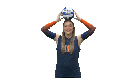 Cnvb Sticker by Carson-Newman Athletics