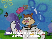season 1 texas GIF by SpongeBob SquarePants