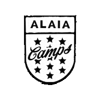 Alaiaactionsports Sticker by Alaia Creative