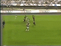 brasileiro 93 GIF by SE Palmeiras