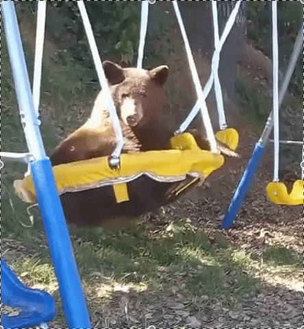 Chilling Hang Out GIF
