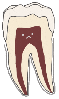 Teeth Tooth Sticker