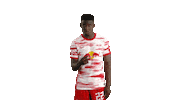 Assist I See You Sticker by RB Leipzig