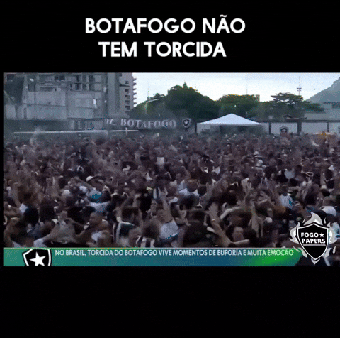 Libertadores Bfr GIF